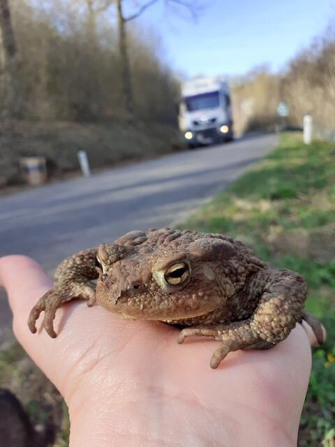 Foto: Petra Tischler