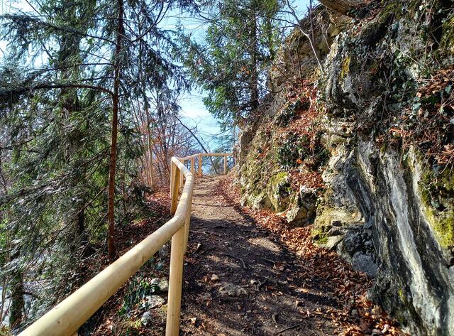 Foto: H.Bachinger 