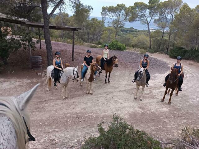 Ein schönes Erlebnis mit Freunden beim Ausreiten.  | Foto: Pieber