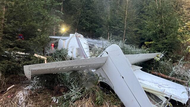 Das zerborstene Wrack des Kleinflugzeuges | Foto: BSBÖ Bezirk Lungau Keidel Thomas