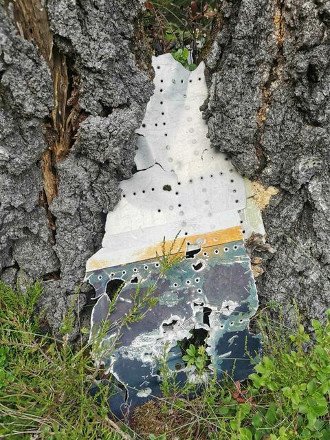Ein Teil des Wracks steckt noch heute in einem Baum bei Tulfes.