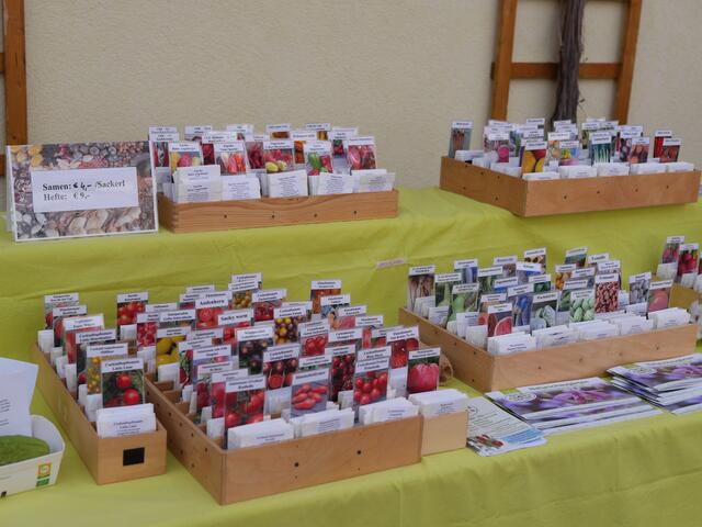 Foto: Michelle Holzmann