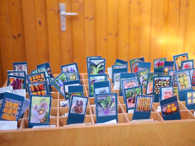 Foto: Michelle Holzmann