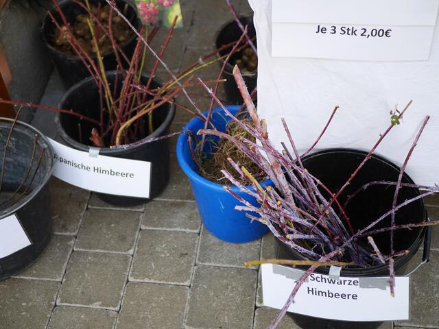 Foto: Michelle Holzmann