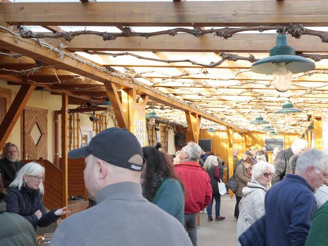 Foto: Michelle Holzmann