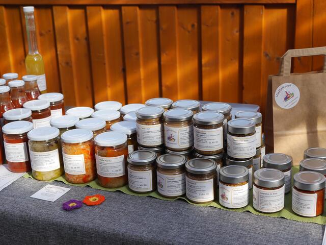 Foto: Michelle Holzmann