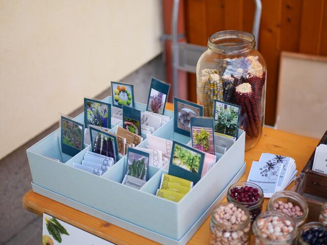 Foto: Michelle Holzmann