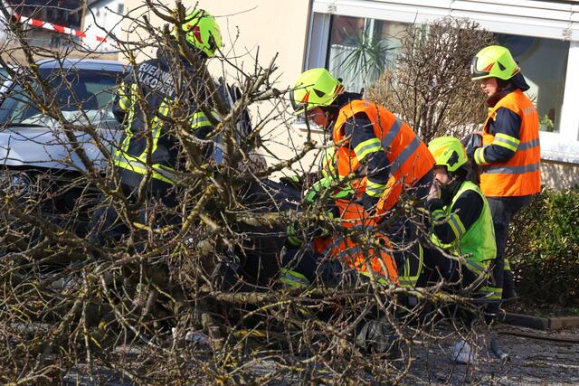 Foto:  laumat/Matthias Lauber