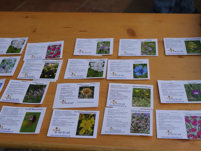 Foto: Michelle Holzmann