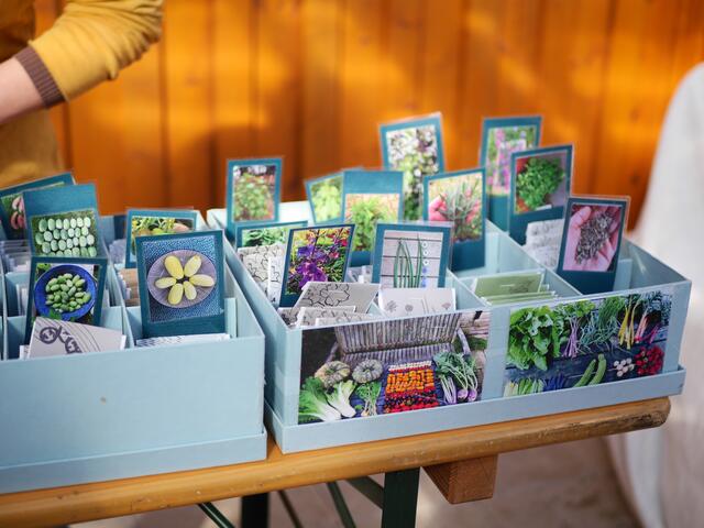 Foto: Michelle Holzmann