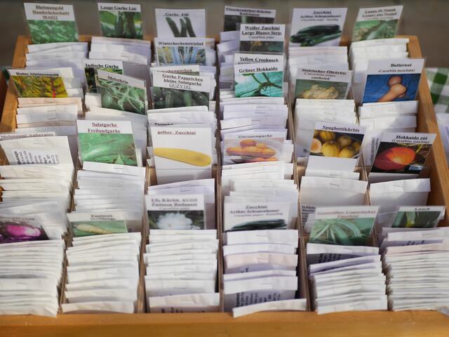 Foto: Michelle Holzmann