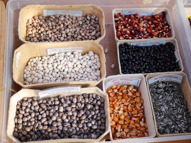 Foto: Michelle Holzmann