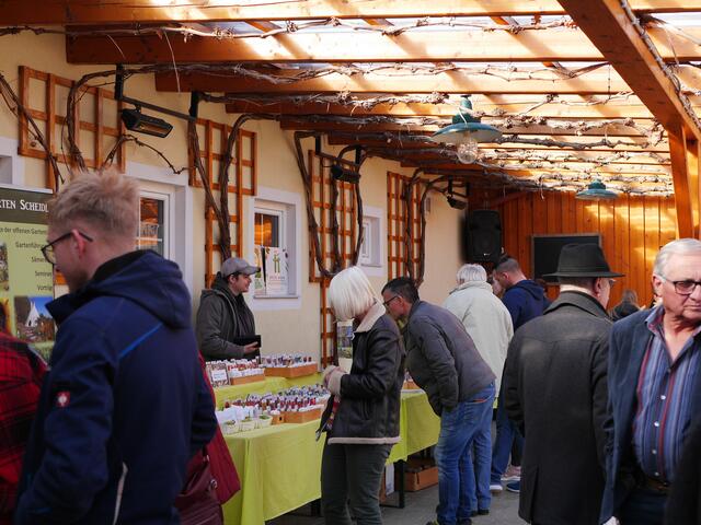 Foto: Michelle Holzmann