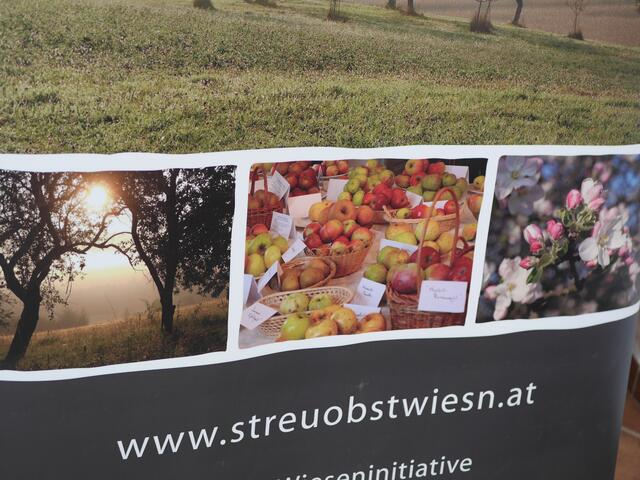 Foto: Michelle Holzmann