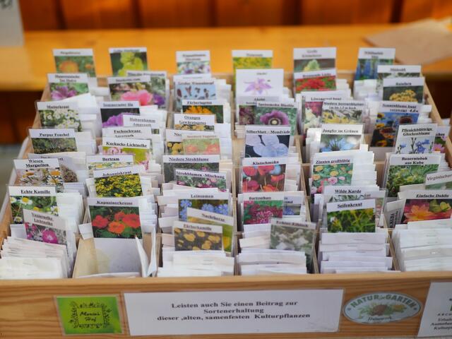 Foto: Michelle Holzmann