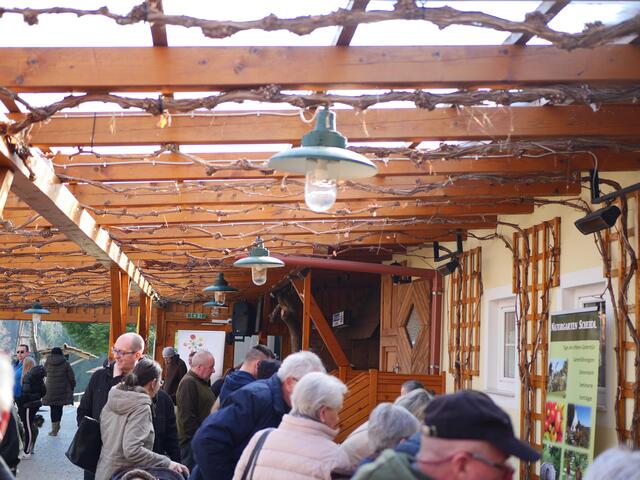 Foto: Michelle Holzmann