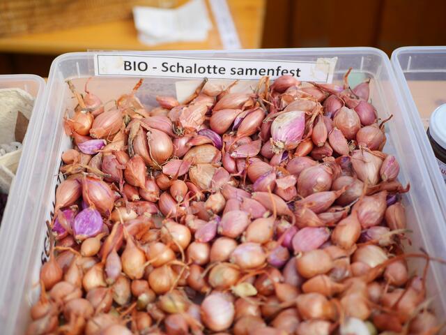 Foto: Michelle Holzmann