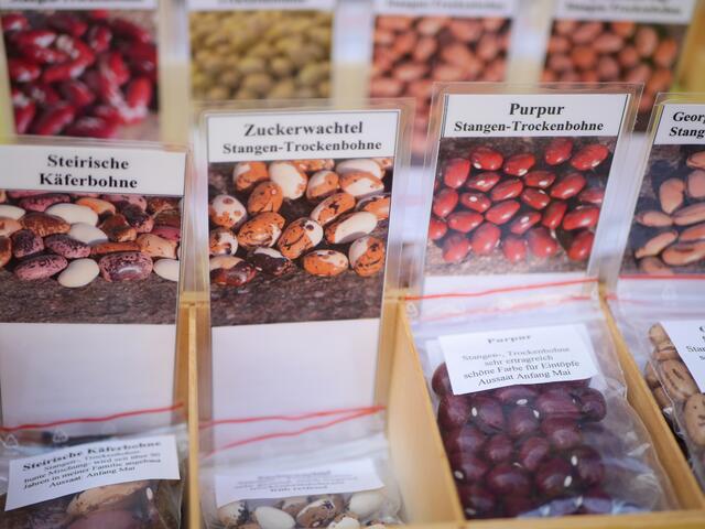 Foto: Michelle Holzmann