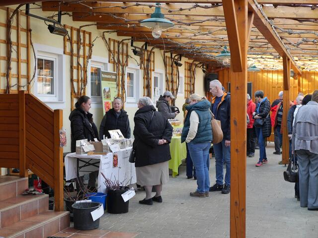 Foto: Michelle Holzmann