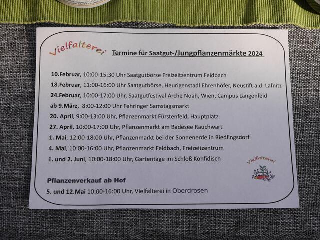 Foto: Michelle Holzmann