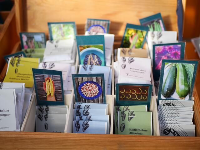 Foto: Michelle Holzmann