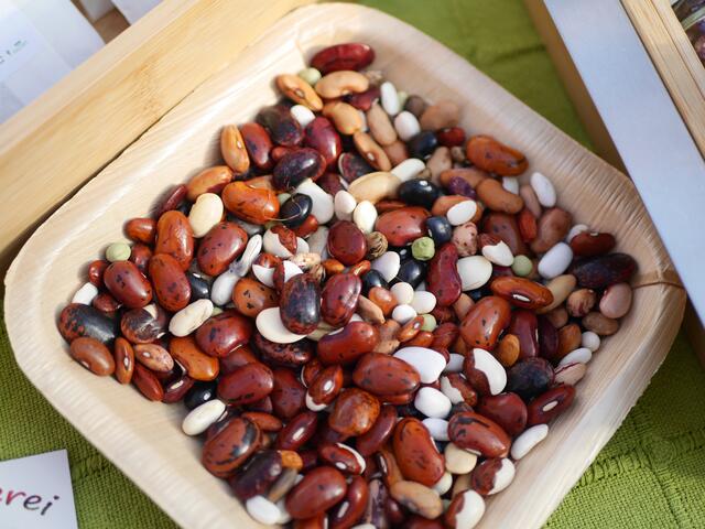 Foto: Michelle Holzmann