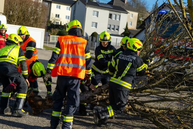 Foto: TEAM FOTOKERSCHI.AT / AMATO GABRIEL