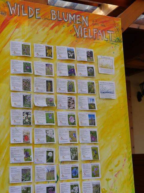 Foto: Michelle Holzmann