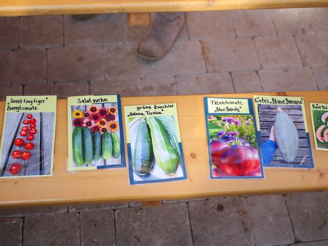 Foto: Michelle Holzmann