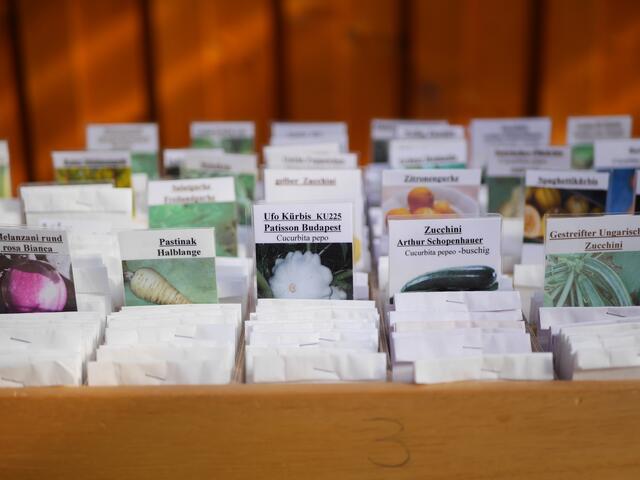 Foto: Michelle Holzmann