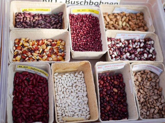 Foto: Michelle Holzmann