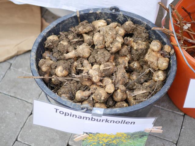 Foto: Michelle Holzmann