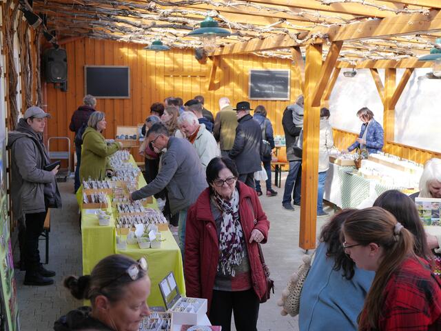 Foto: Michelle Holzmann