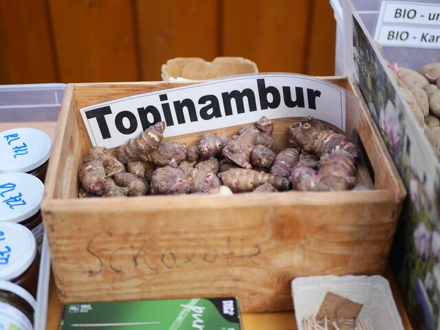 Foto: Michelle Holzmann