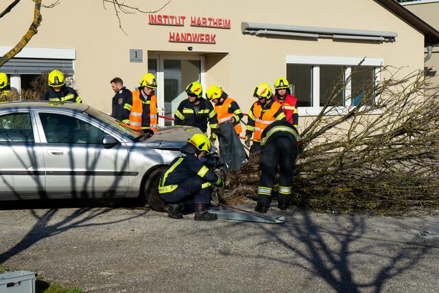 Foto: TEAM FOTOKERSCHI.AT / AMATO GABRIEL