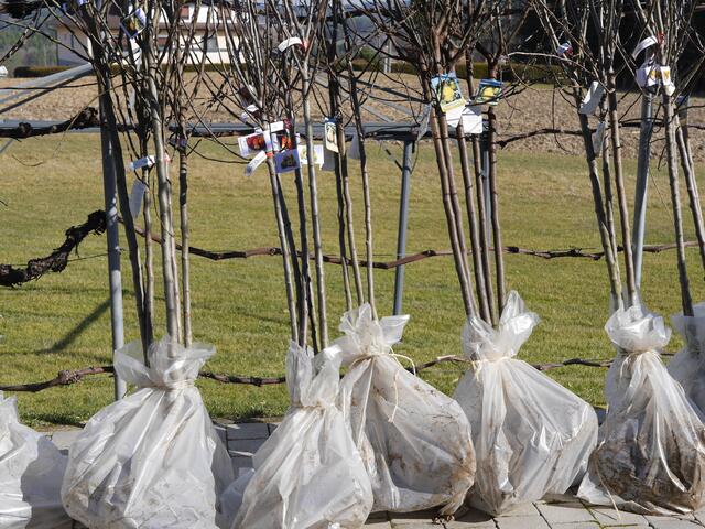 Foto: Michelle Holzmann