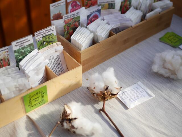 Foto: Michelle Holzmann