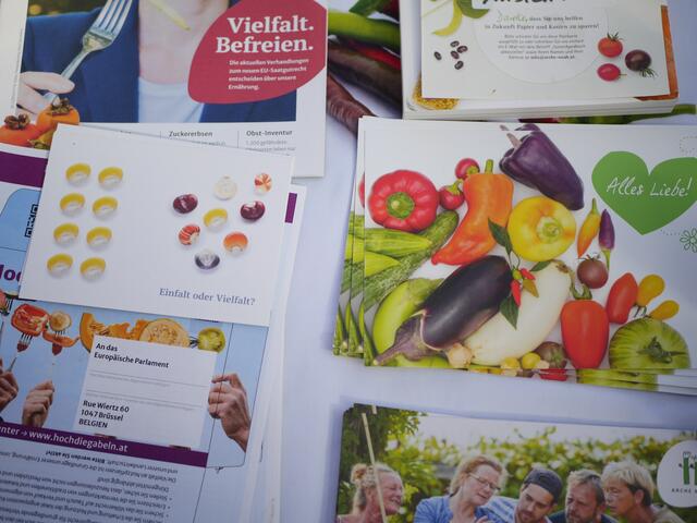 Foto: Michelle Holzmann