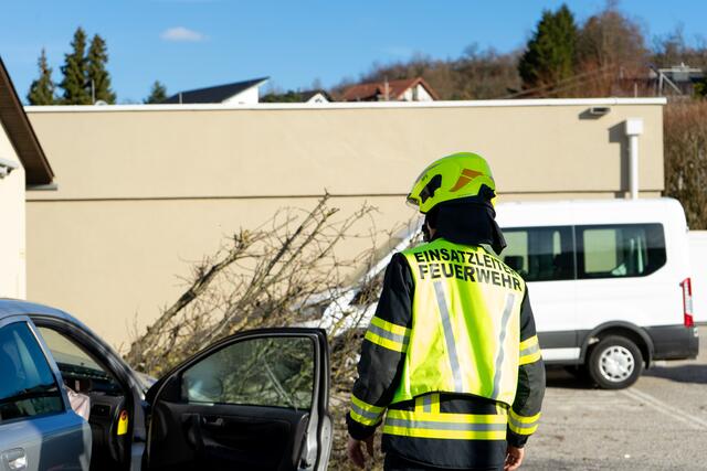 Foto: TEAM FOTOKERSCHI.AT / AMATO GABRIEL