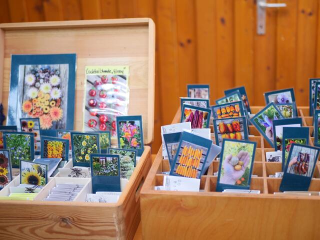 Foto: Michelle Holzmann