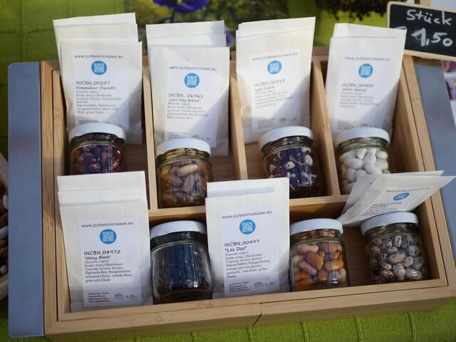 Foto: Michelle Holzmann