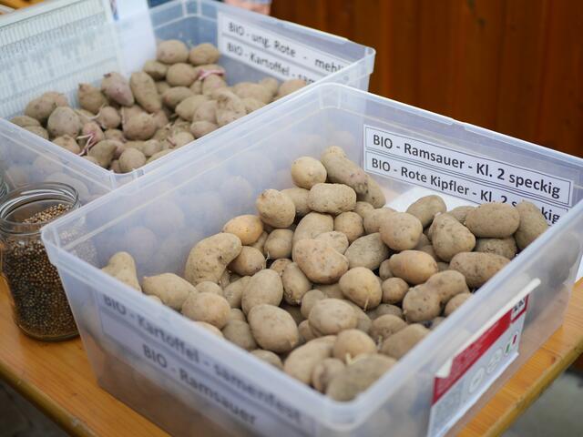 Foto: Michelle Holzmann