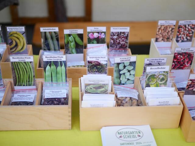 Foto: Michelle Holzmann