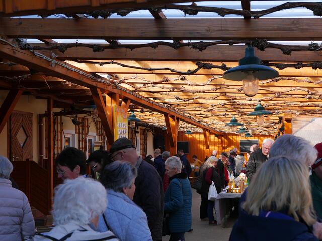 Foto: Michelle Holzmann