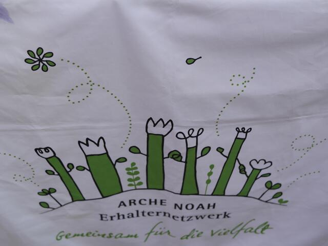 Foto: Michelle Holzmann