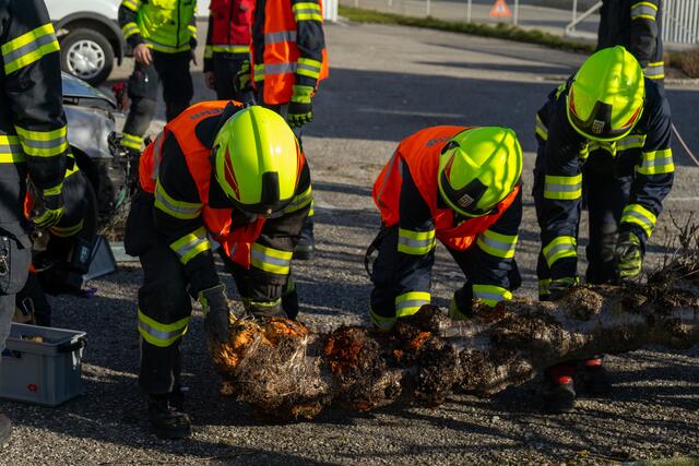 Foto: TEAM FOTOKERSCHI.AT / AMATO GABRIEL