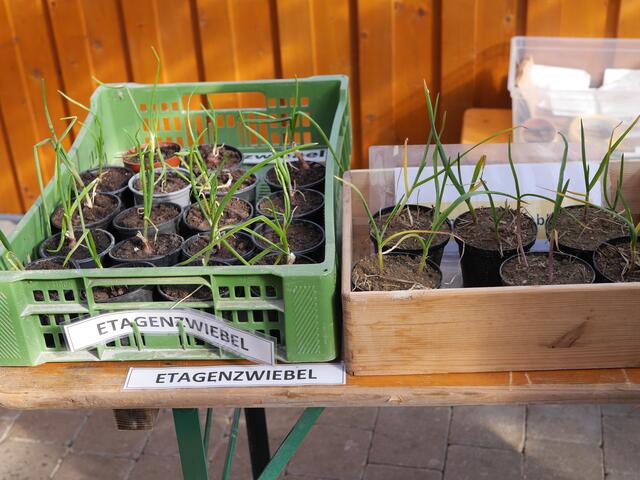 Foto: Michelle Holzmann