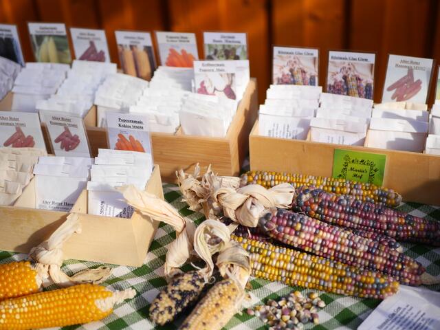 Foto: Michelle Holzmann