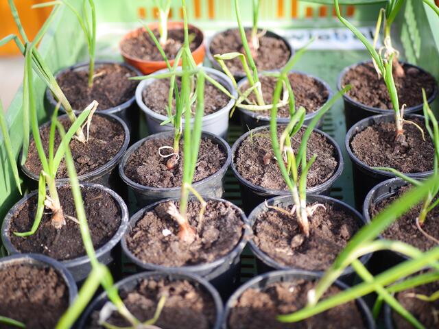 Foto: Michelle Holzmann