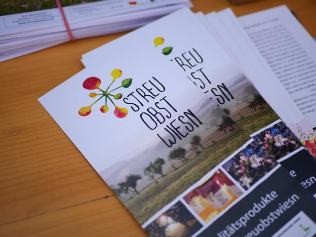 Foto: Michelle Holzmann